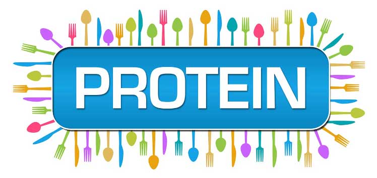 Яичный или сывороточный протеин Яичный или сывороточный протеин